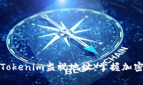 如何使用Tokenim监视地址：掌握加密资产动态