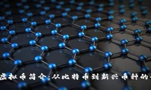 2023年虚拟币简介：从比特币到新兴币种的全面解读