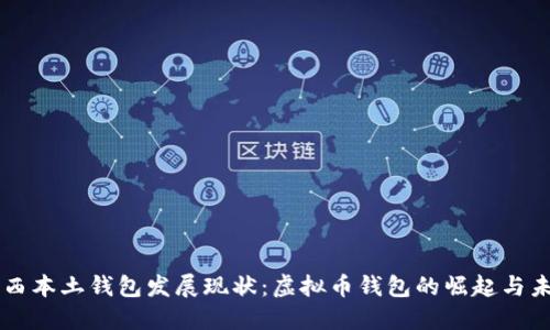 巴西本土钱包发展现状：虚拟币钱包的崛起与未来