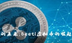 比特币市场的未来：Beetl虚拟币的崛起