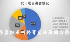 2023年虚拟币叫停背后的原因与影响分