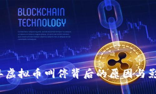 2023年虚拟币叫停背后的原因与影响分析