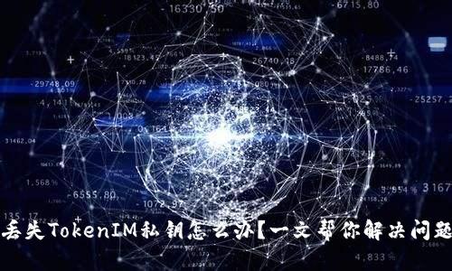 丢失TokenIM私钥怎么办?一文帮你解决问题