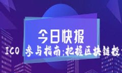 Tokenim ICO 参与指南：把握区块链投资新
