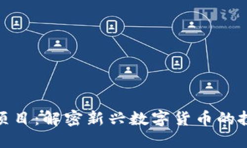 海王币虚拟币项目:解密新兴数字货币的投资机遇与风险