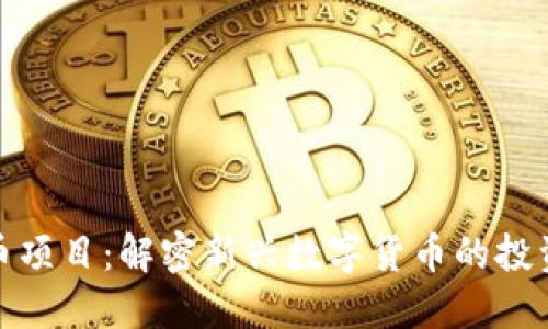 海王币虚拟币项目:解密新兴数字货币的投资机遇与风险