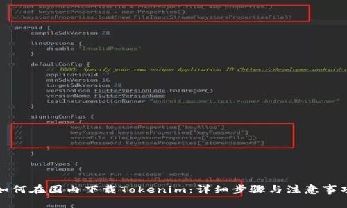如何在国内下载Tokenim:详细步骤与注意事项