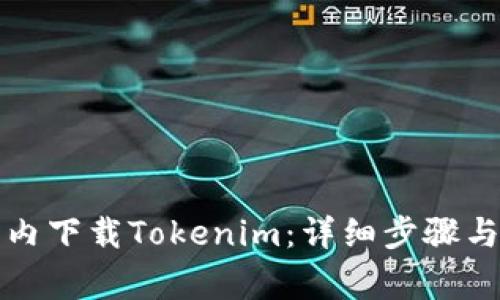 如何在国内下载Tokenim:详细步骤与注意事项