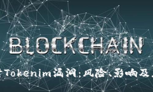 深入探讨Tokenim漏洞:风险、影响及应对措施