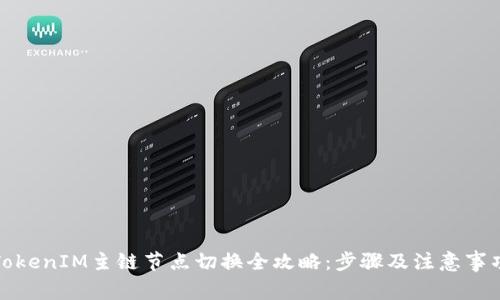 TokenIM主链节点切换全攻略：步骤及注意事项