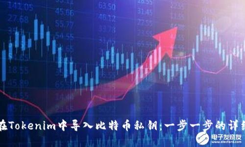如何在Tokenim中导入比特币私钥：一步一步的详细指南