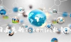 如何找回丢失的Tokenim私钥：全面指南