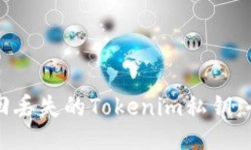 如何找回丢失的Tokenim私钥:全面指南