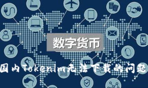 如何解决国内Tokenim无法下载的问题:完整指南