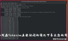 如何在Tokenim未能访问的情况下导出您