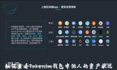 如何查看Tokenim钱包中他人的资产状况