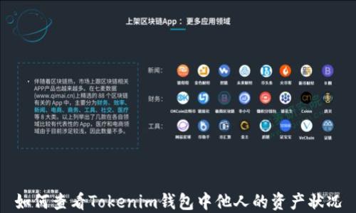如何查看Tokenim钱包中他人的资产状况