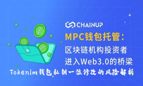 Tokenim钱包私钥一位修改的风险解析