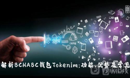全面解析BCHABC钱包Tokenim：功能、优势及常见问题